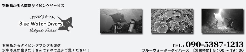 Blue Water Divers Official Blog