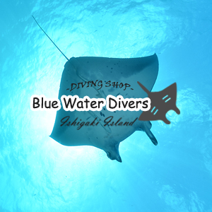 Blue Water Divers